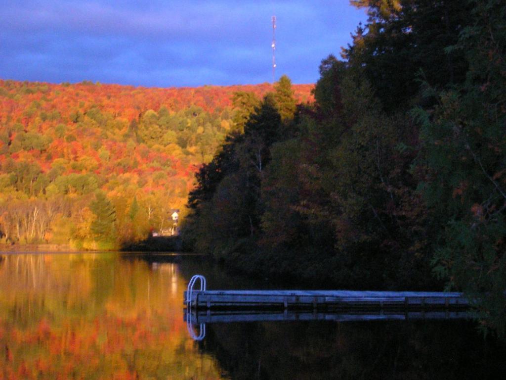 Motel Ours Bleu Lac-Saguay Esterno foto